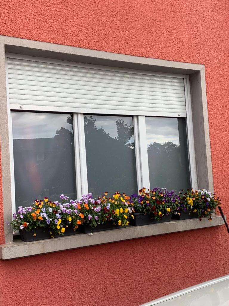 Couleur Framboise Homestay Longwy